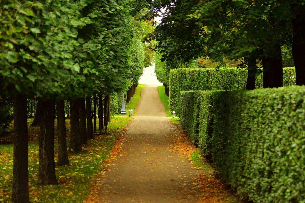 grounds maintenance company 2