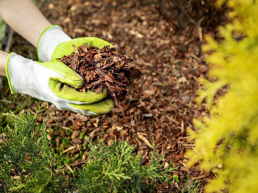 mulching services - Grounds Maintenance Reading