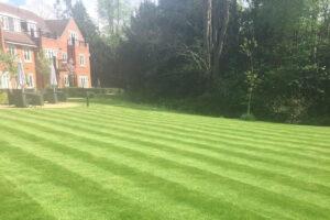 The Benefits of a Professional Property Estate Maintenance Service