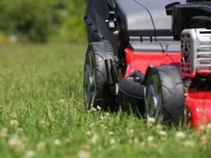 Grounds Maintenance in Reading Berkshire - Residential & Commercial Property Maintenance in Reading