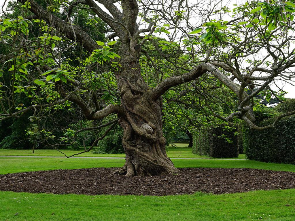 estate maintenance in reading berkshire