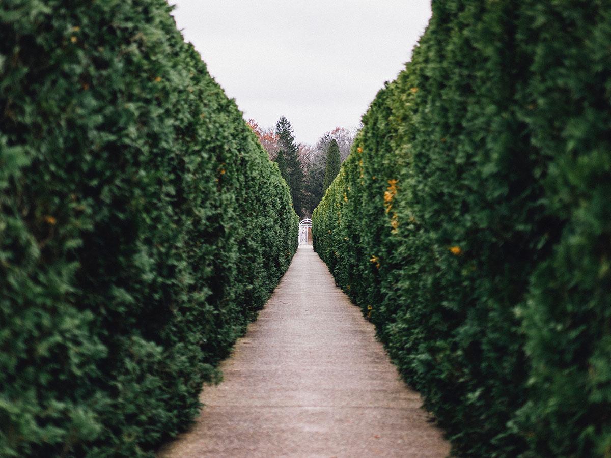 garden maintenance in reading - Residential & Commercial Property Maintenance in Reading,