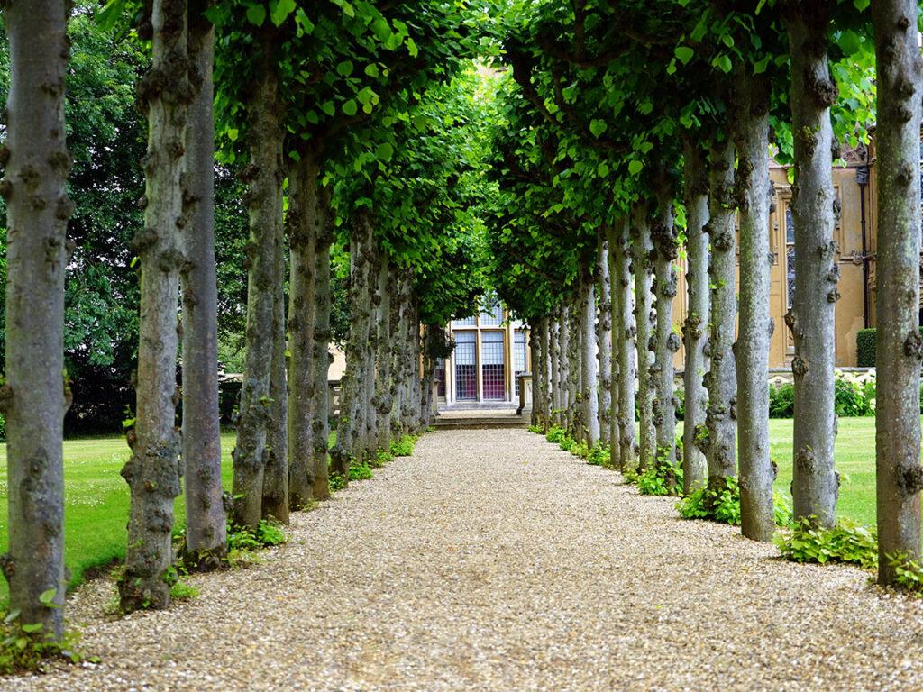 Pathways maintained