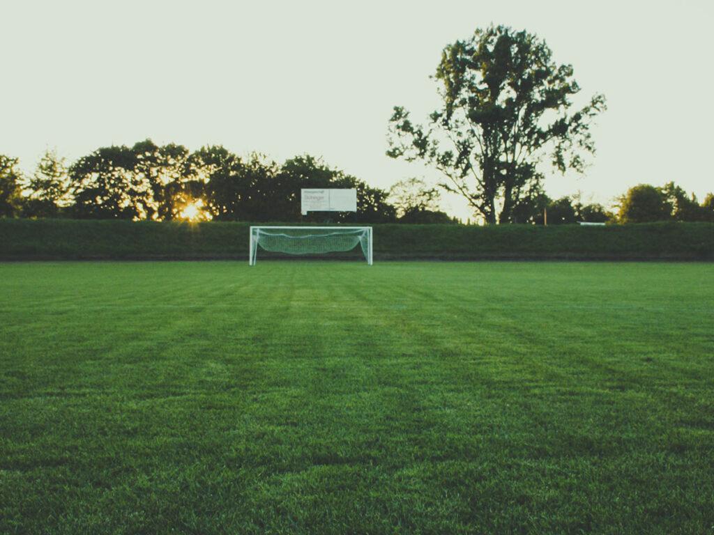 sports estate maintenance reading berkshire