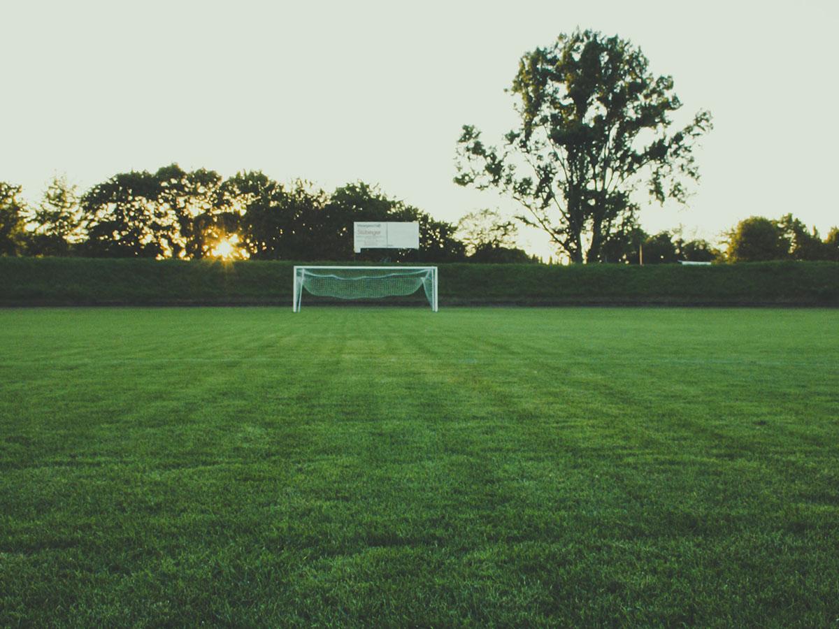 sports estate maintenance reading berkshire