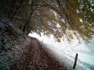 Winter Grounds Maintenance