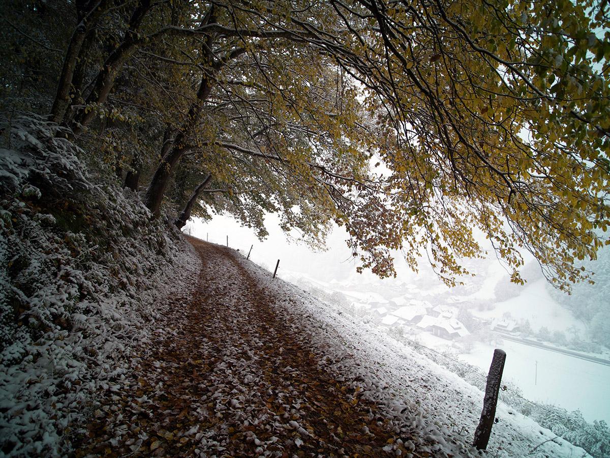 Winter Grounds Maintenance