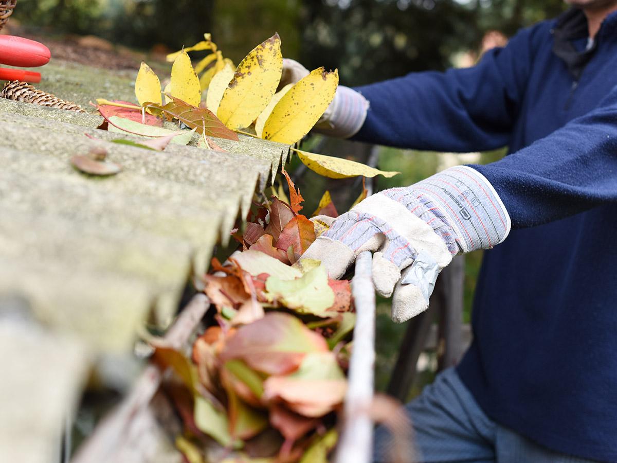 Winter Gutter Cleaning Service