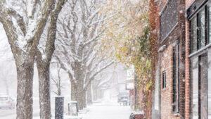Winter Property Maintenance