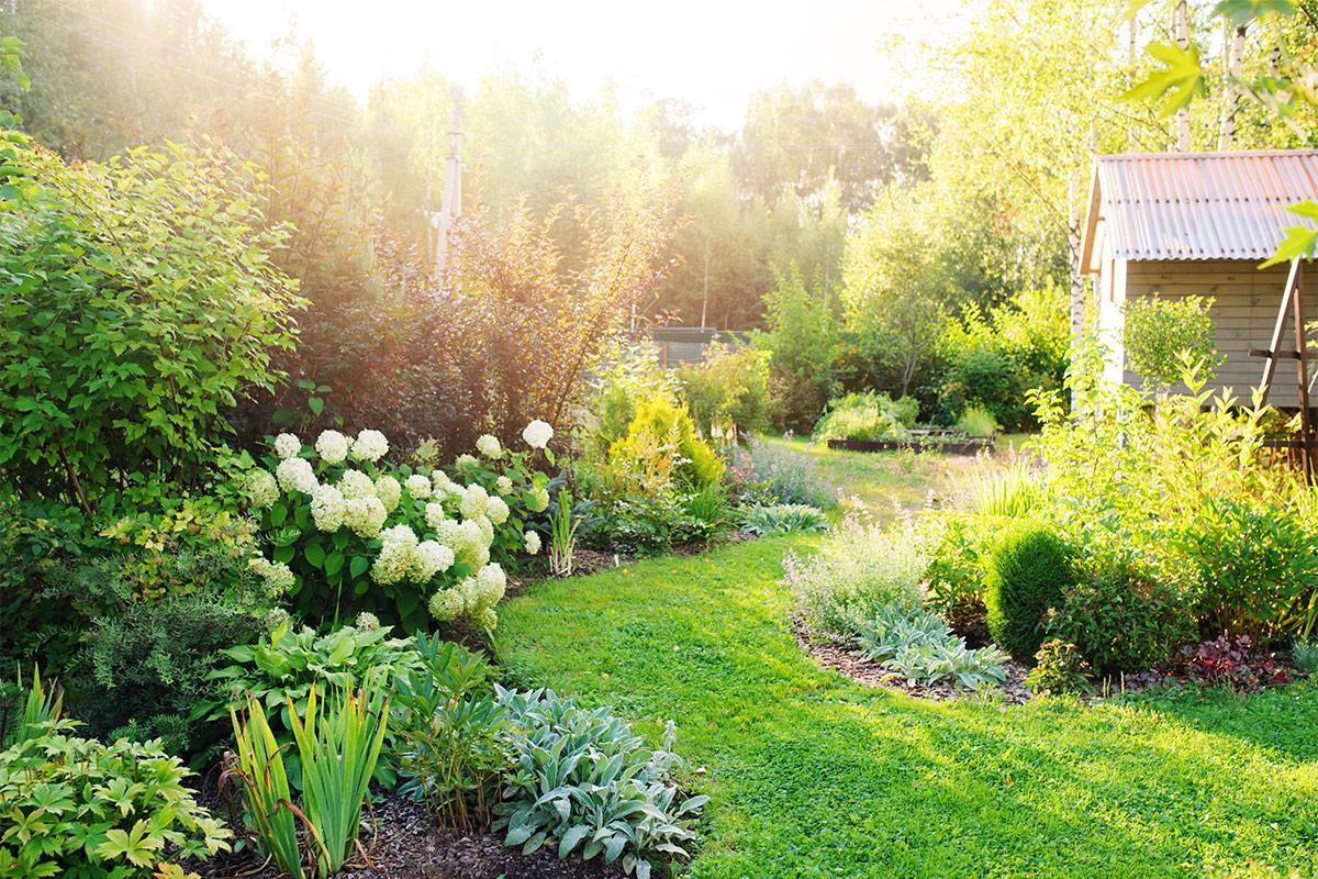 Garden Maintenance Wokingham - Property Maintenance in Reading