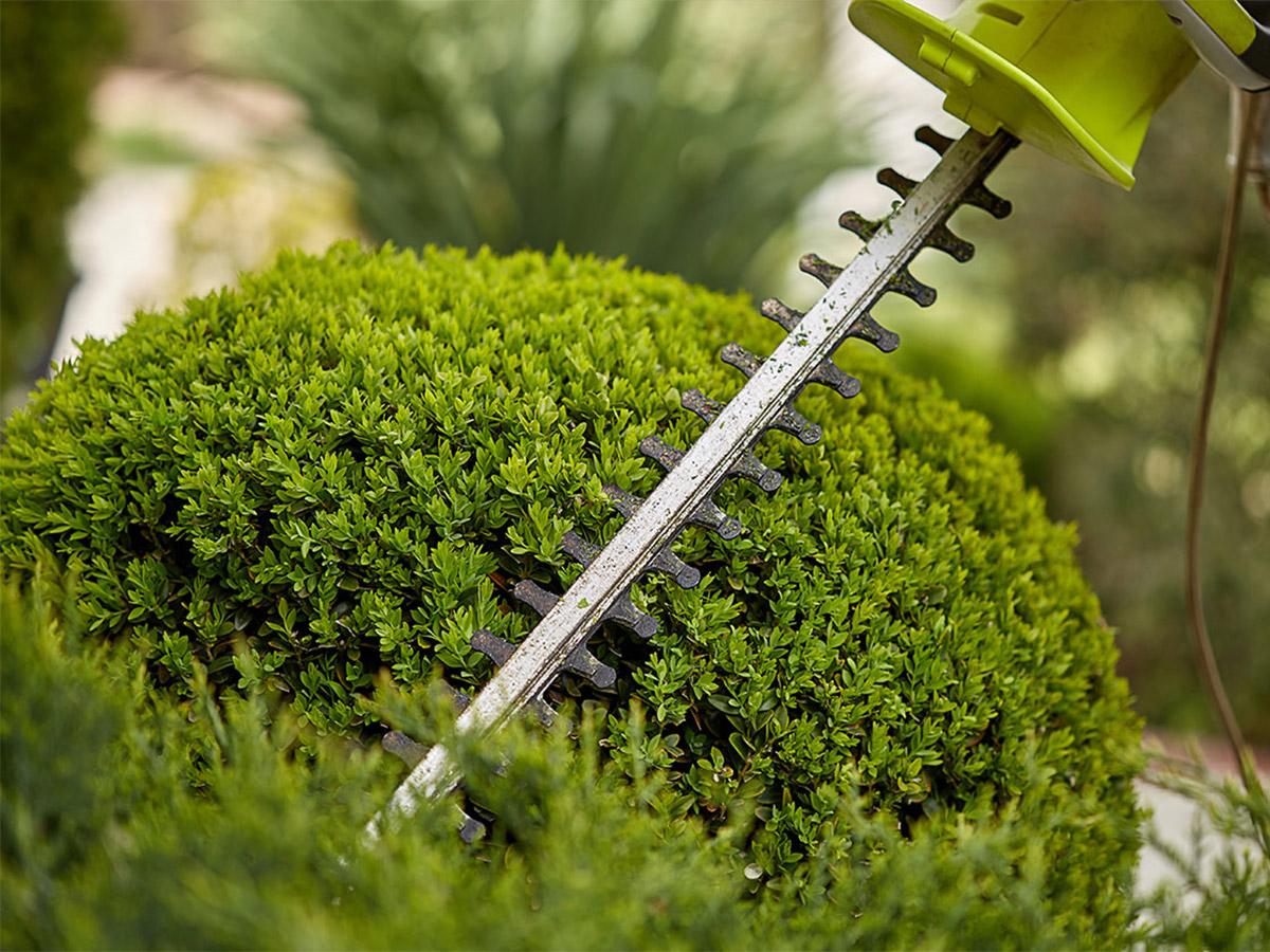 garden maintenance bracknell