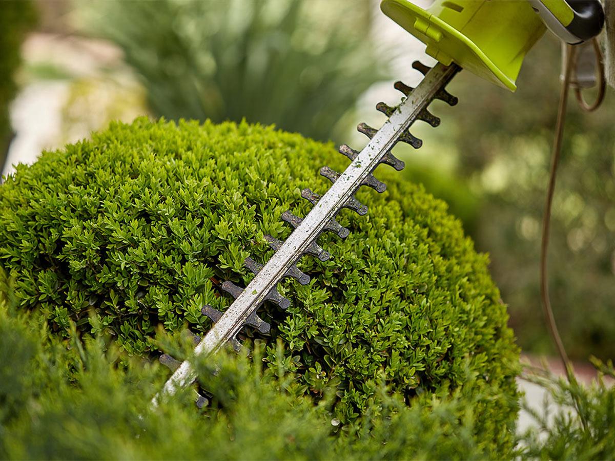 Hedge Trimming - Grounds Maintenance Reading