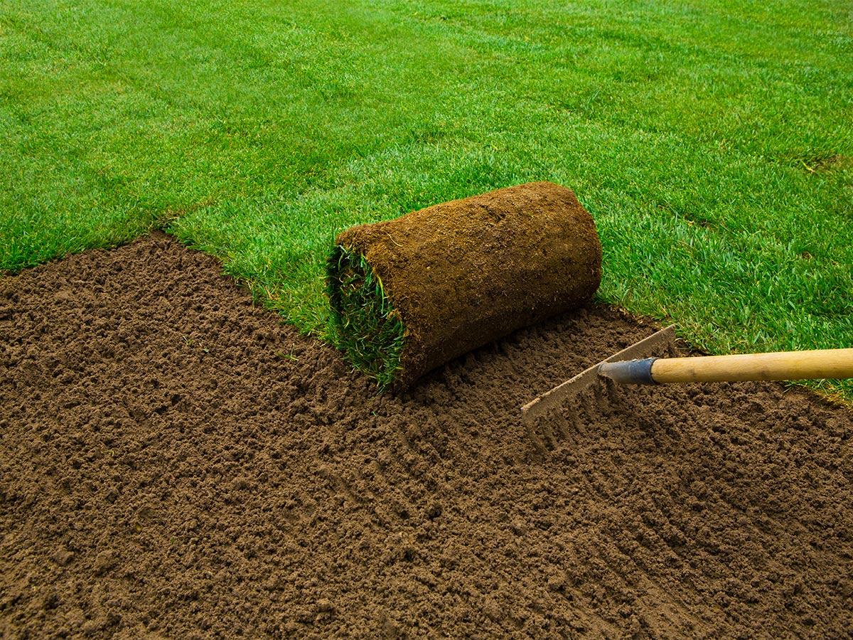Turfing laid and maintained