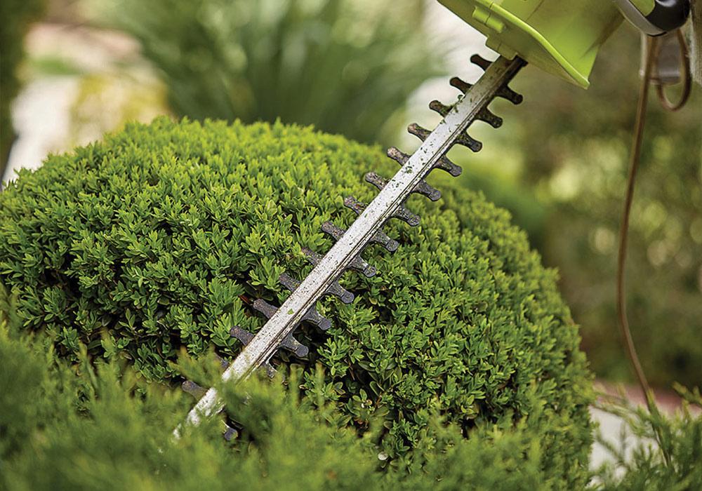 Hedge Trimming