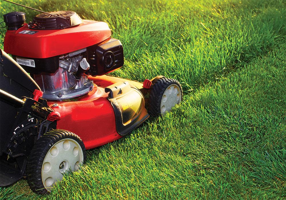 Lawn Mowing - Garden Maintenance Reading