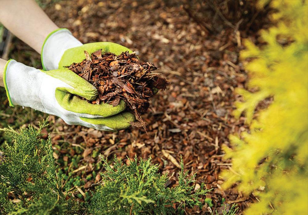 Mulching