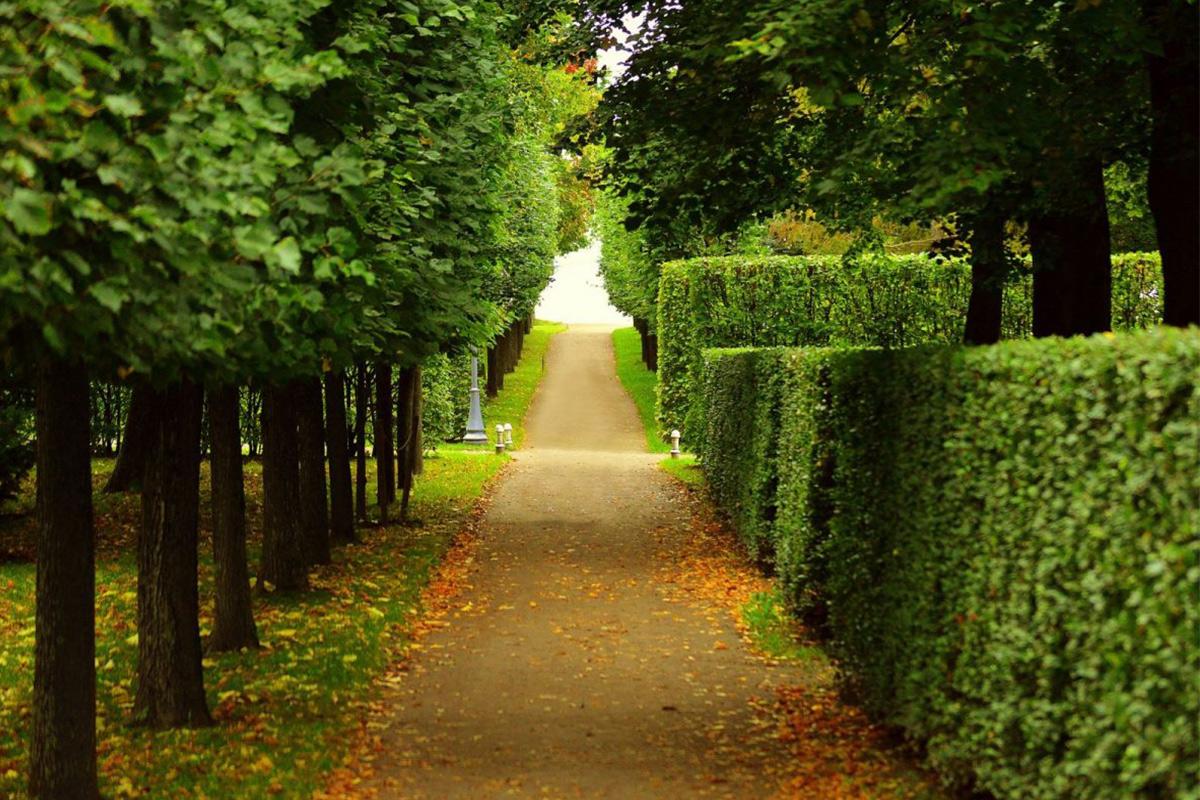 estate maintenance and management reading berkshire
