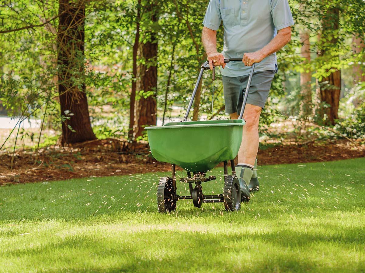 lawn care estate maintenance and Grounds Maintenance Reading