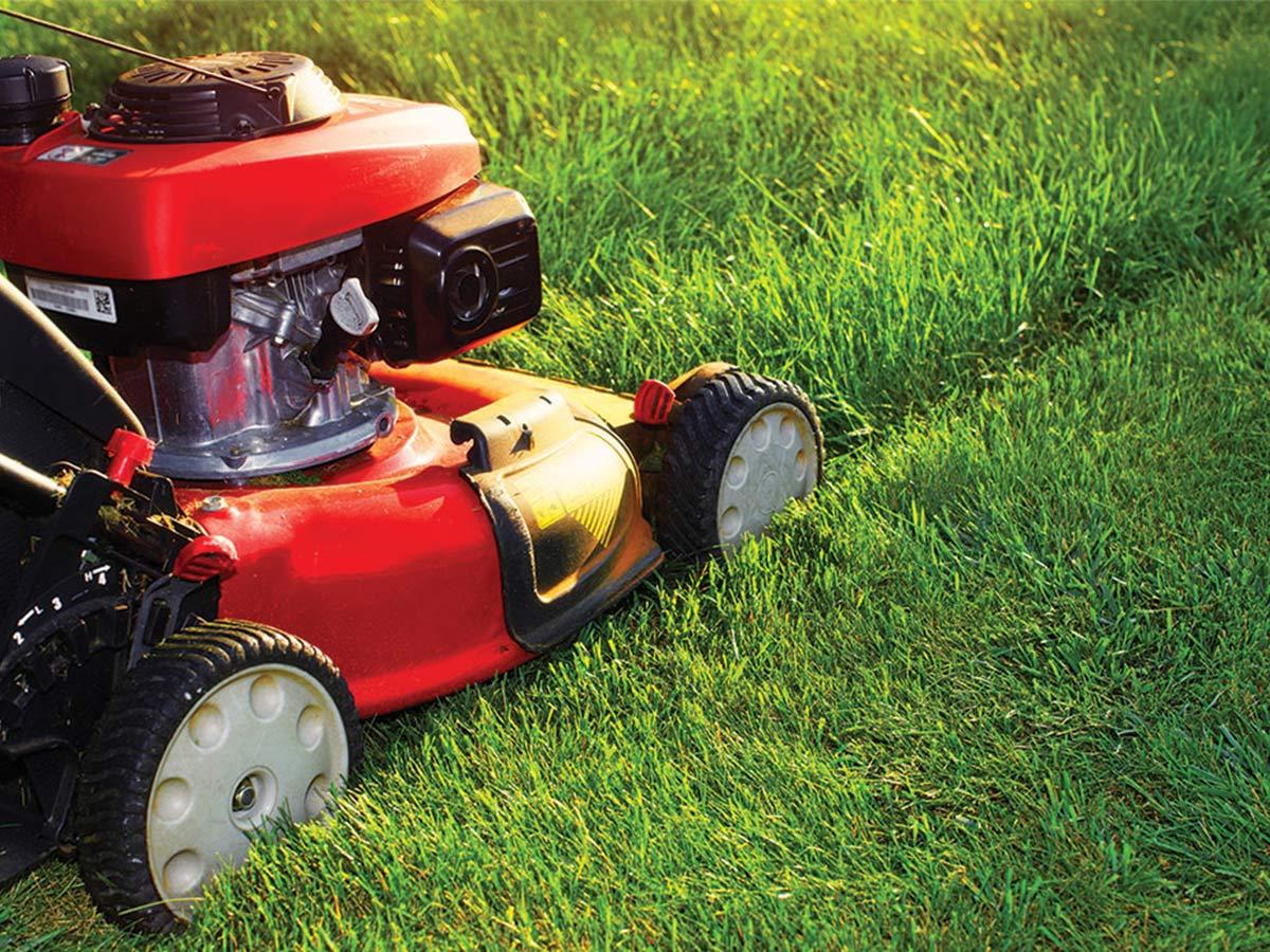 lawn mowing