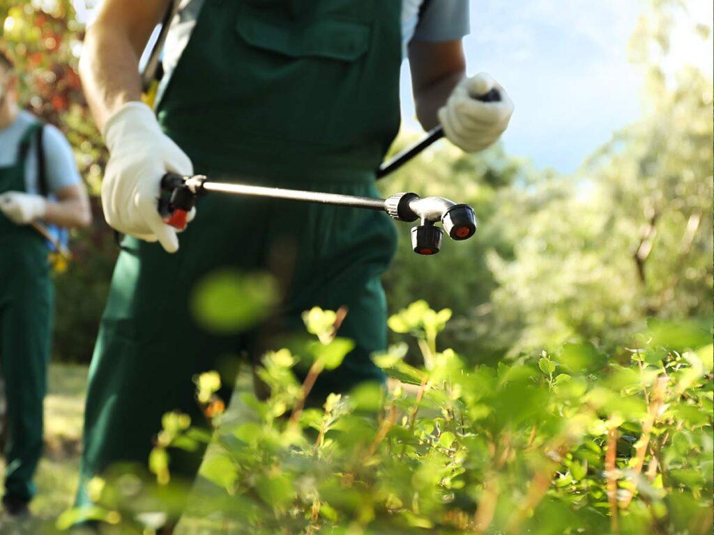 pest control estate maintenance