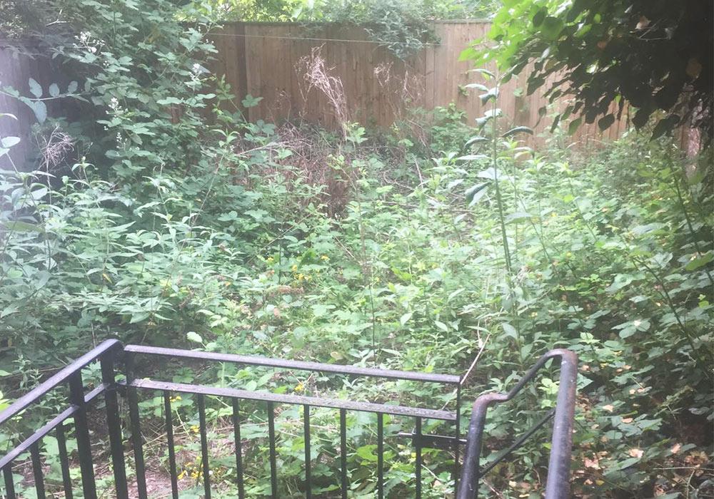 Garden Clearance - Garden Maintenance Reading