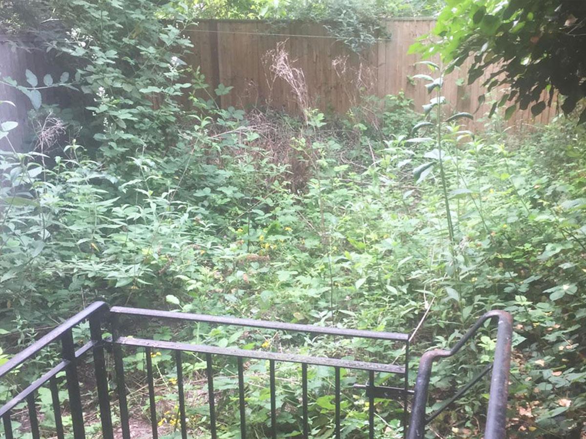 Garden Clearance - Garden Maintenance and Grounds Maintenance Reading