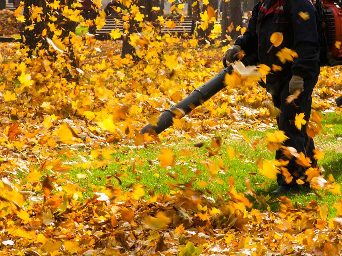 Clearing fallen leaves - Garden Maintenance - Property Maintenance in Reading